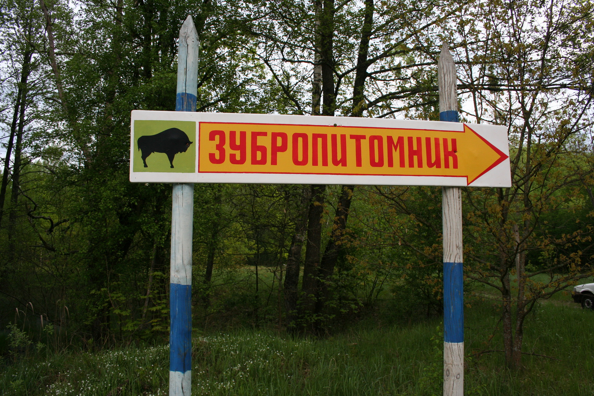 IMG_2031_новый размер